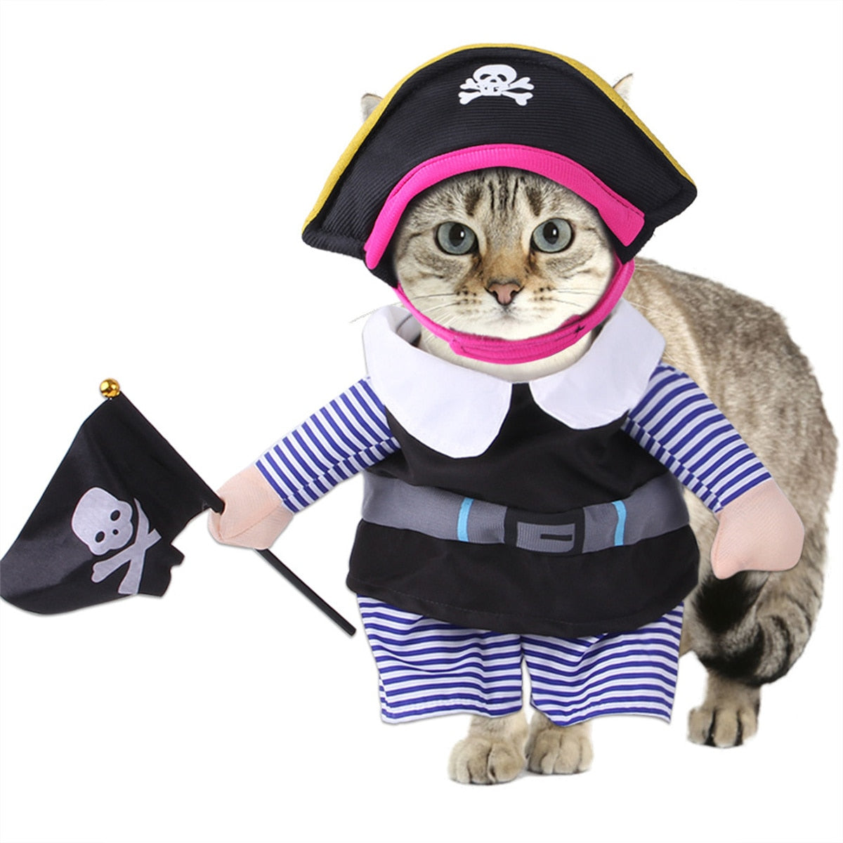 Paws & Playβ’ Unleash the Fun with Our Deadly Doll Pet Outfit! ππ