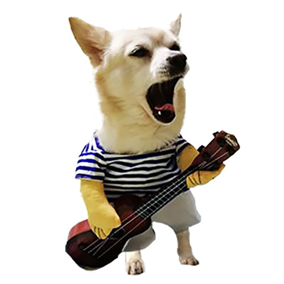 Paws & Playβ’ Unleash the Fun with Our Deadly Doll Pet Outfit! ππ