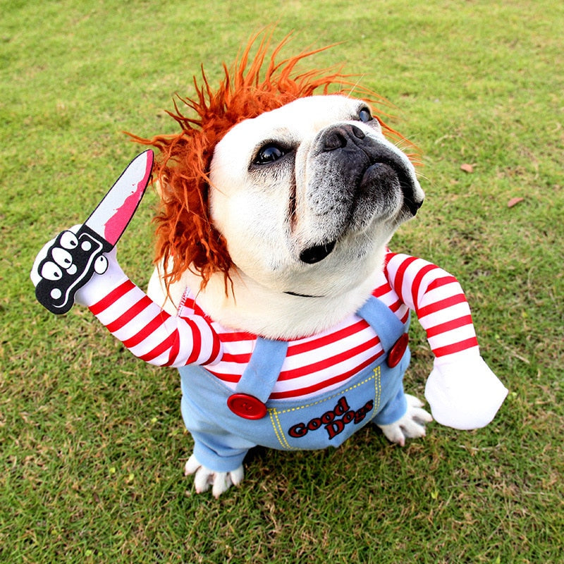 Spooktacular Pupβ’ Deadly Doll Costume for Halloween!