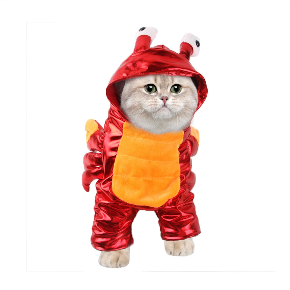 Paws & Playβ’ Unleash the Fun with Our Deadly Doll Pet Outfit! ππ