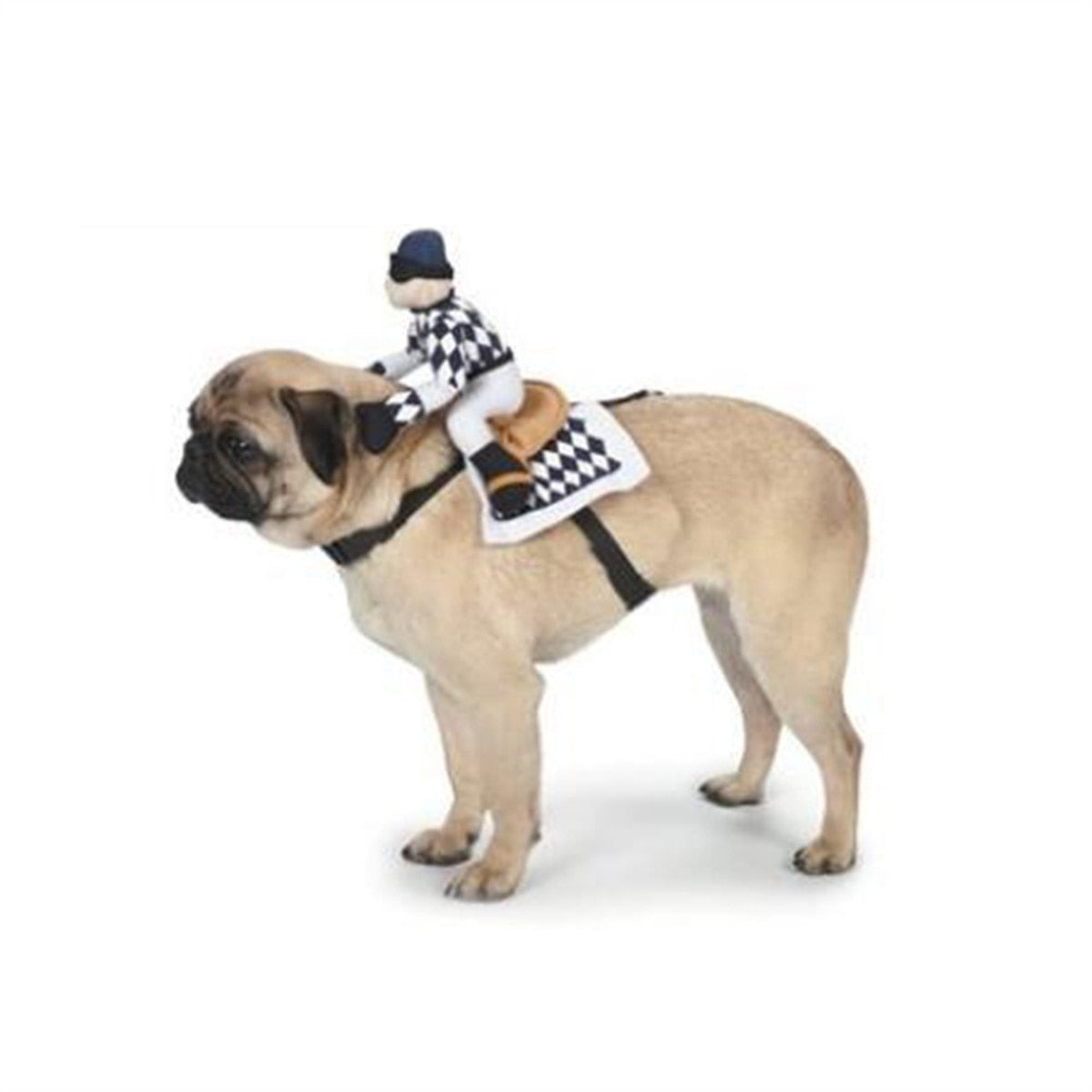 Paws & Playβ’ Unleash the Fun with Our Deadly Doll Pet Outfit! ππ